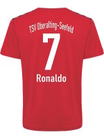 HML Authentic PL Spielertrikot S/S