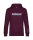 Ammersee & BE KIND - Hoodies